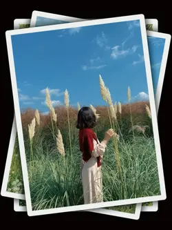 8Pic Clip Transition