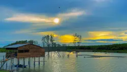 Hoàng hôn chii music