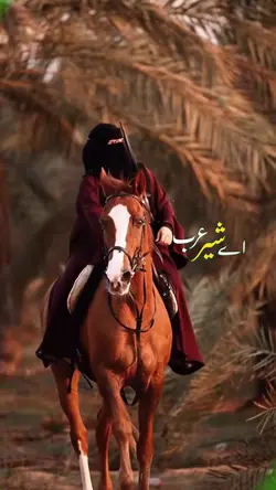 اے شیر عرب 