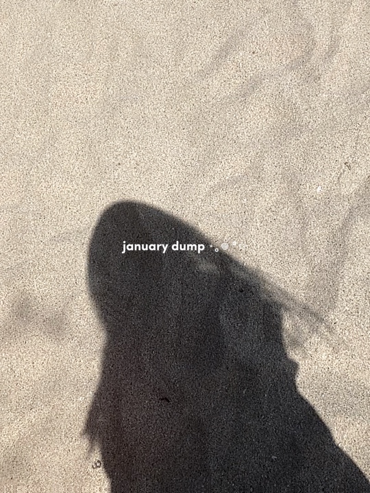 january dump