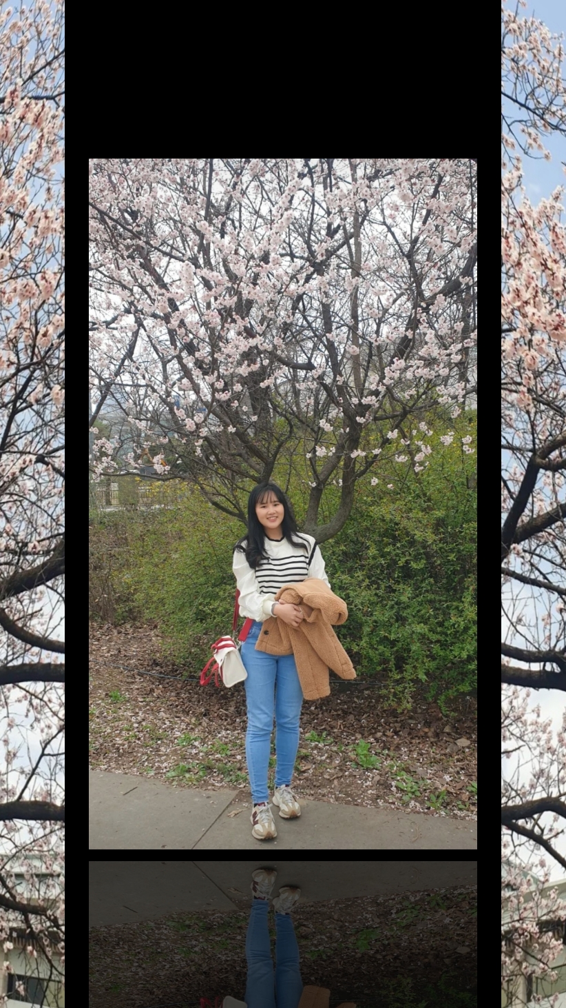 Vlog korea