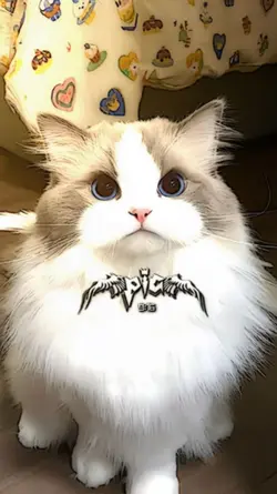 สวัสดีปีใหม่เด้อ