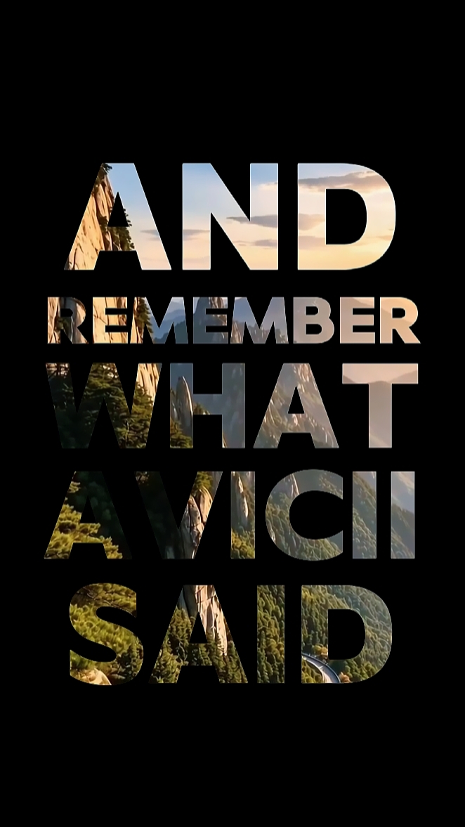 avicii said