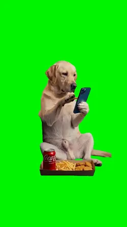 scrolling sosmed