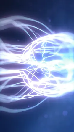 nerves portrait ¹⁶