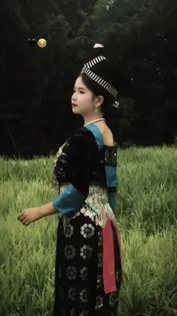 Trình chiếu nhạc hmo