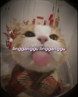 lingganggu linggangg