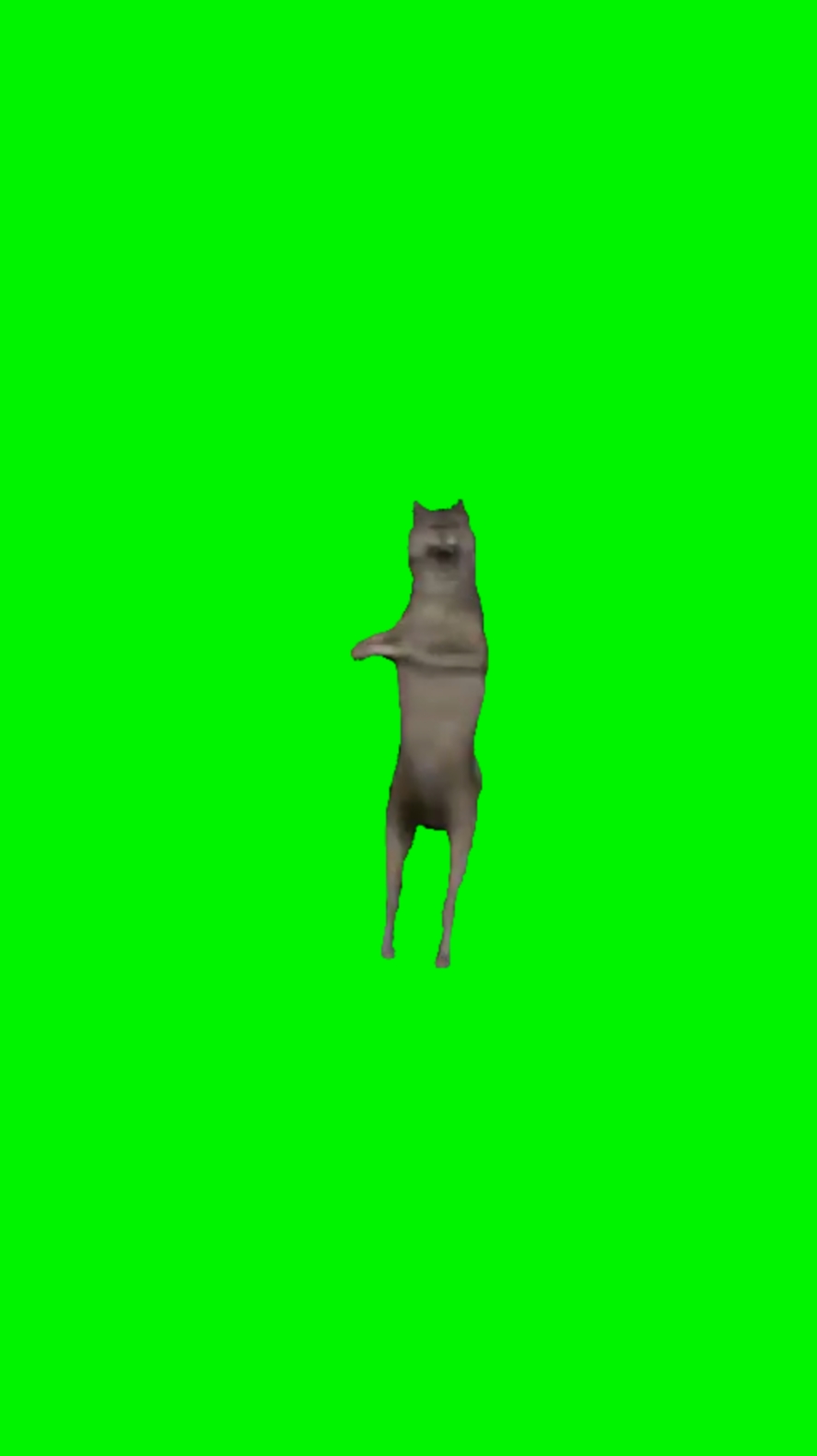 Dancing Wolf