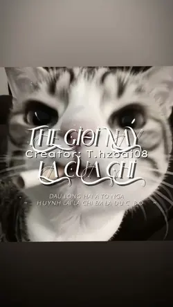 THẾ GIỚI NÀY LÀ 🌷