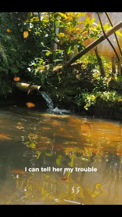 how i can tell about