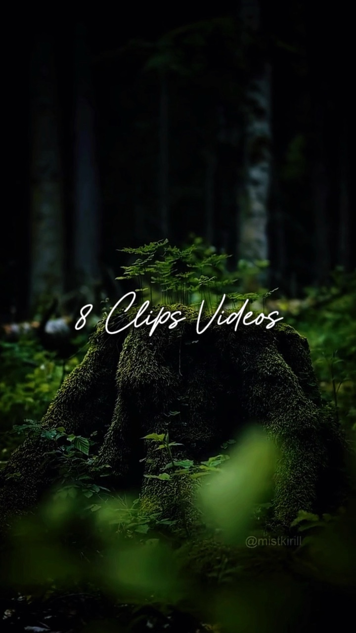 8 Clips Videos