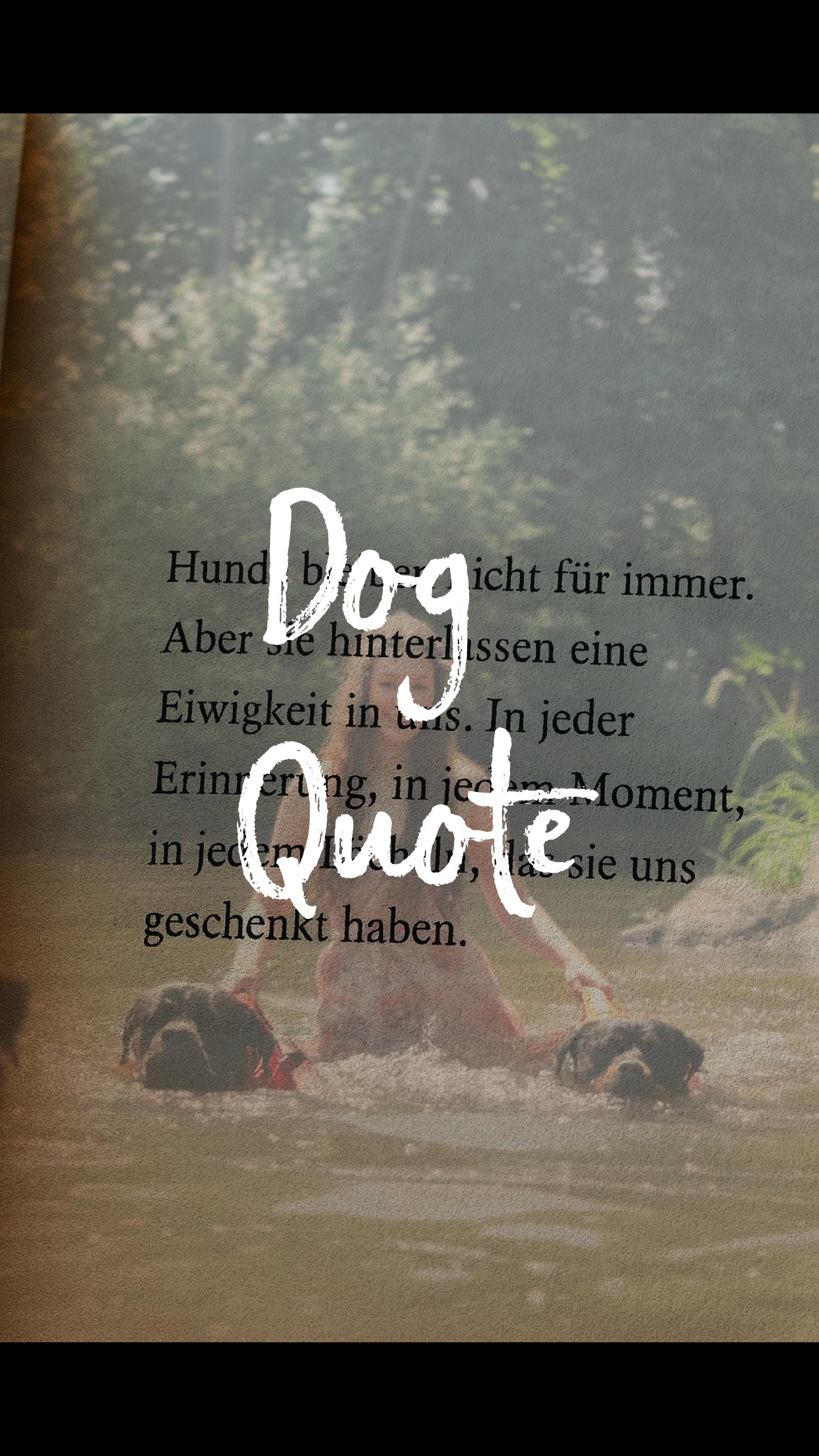 Hund Zitat