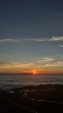 风吹花落我才哭