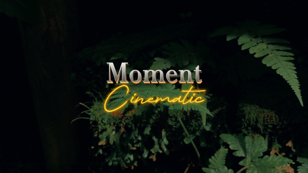 Filtre cinématique