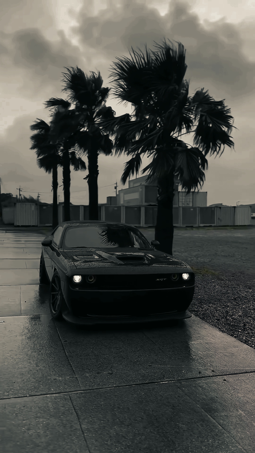 COCHE | REMIX DE FEIN