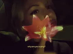 why are you crying?