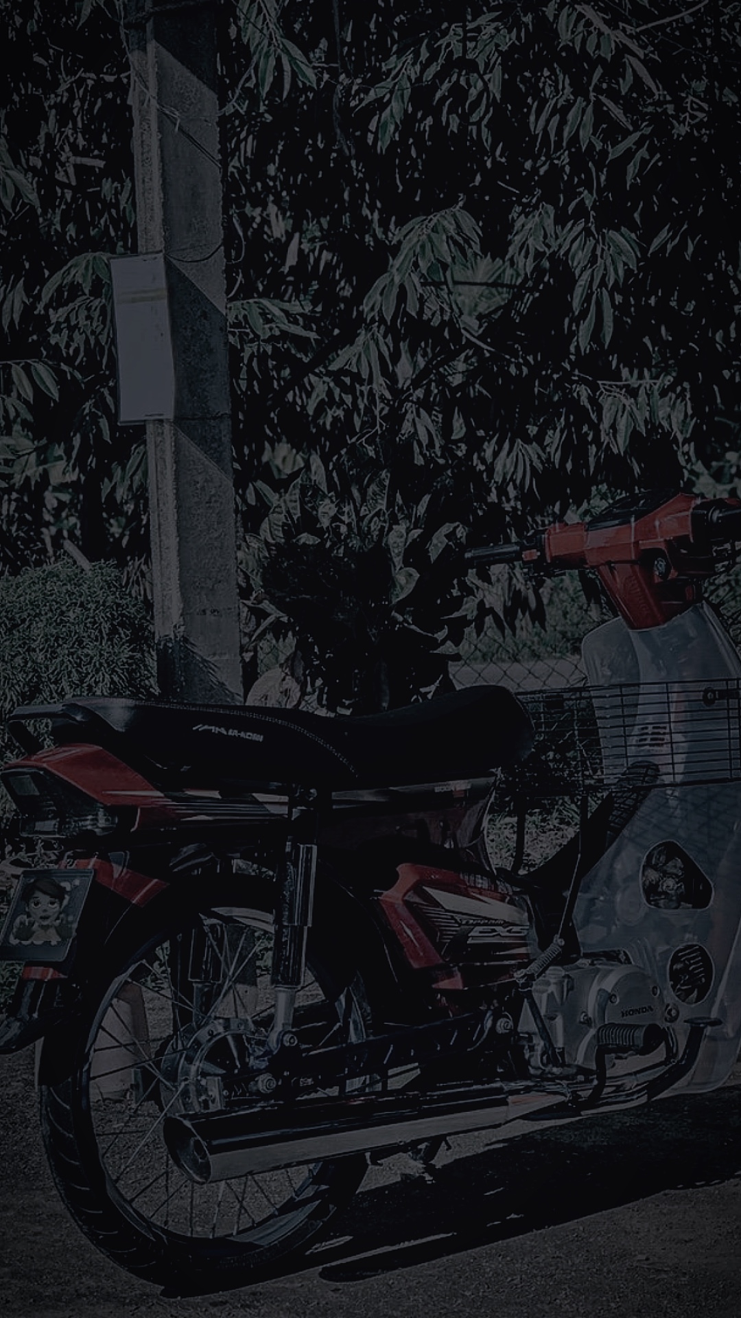 Cover Picture