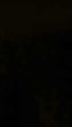 boladin