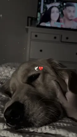 Te extraño 