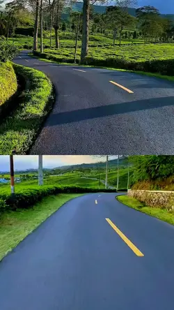 2 video collage