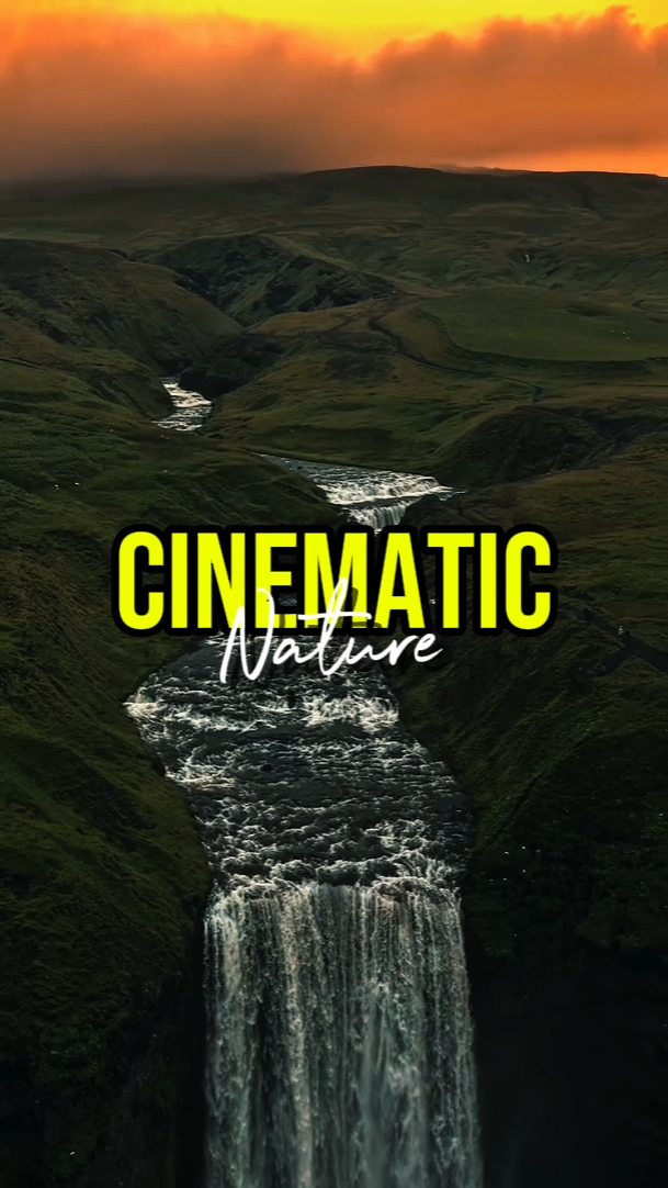 NATURE CINÉMATIQUE