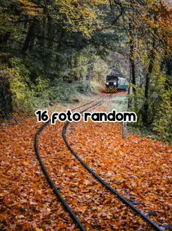 16 foto random