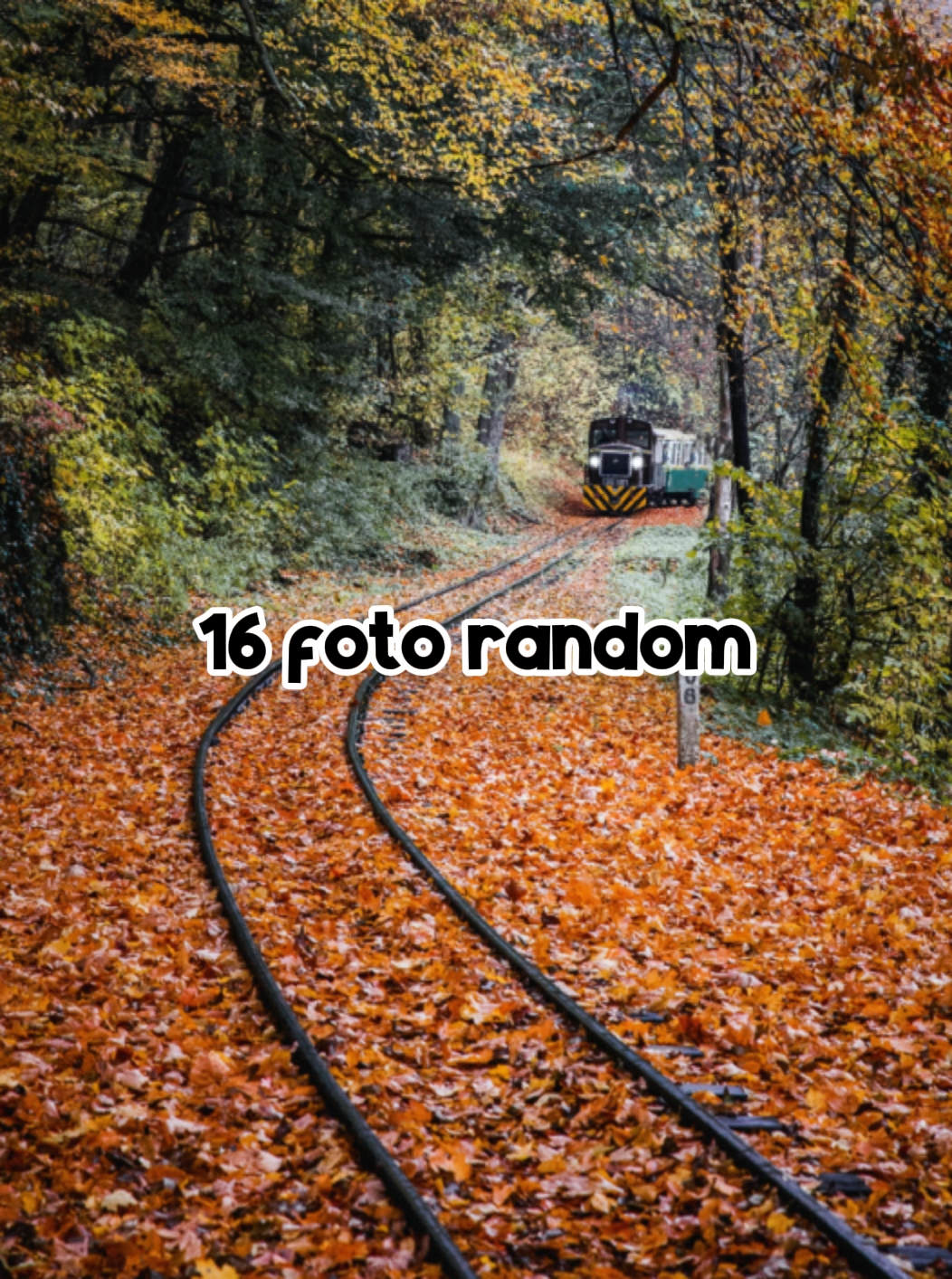 16 foto zufällig