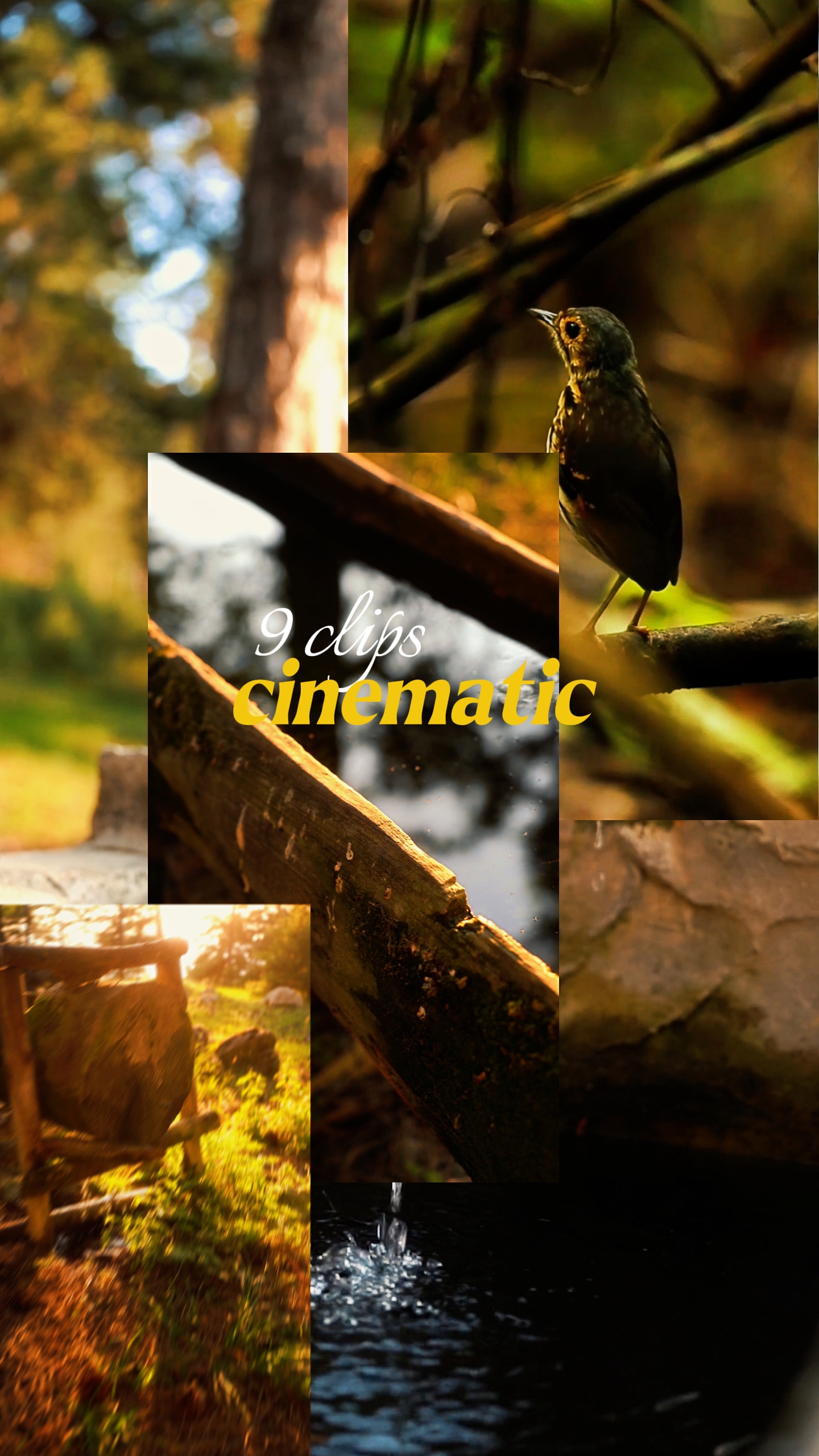 Cinematic Alam