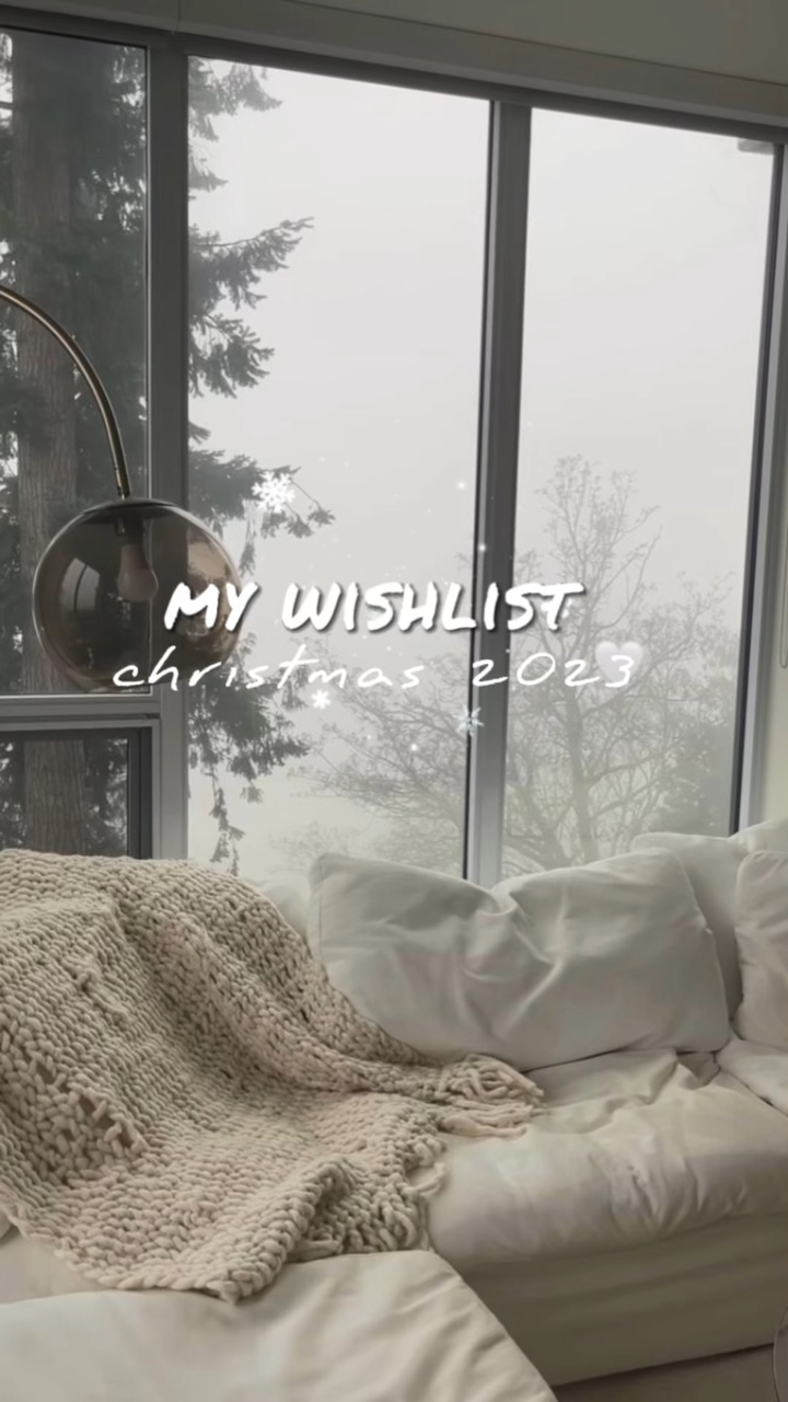 christmas wishlist ✨