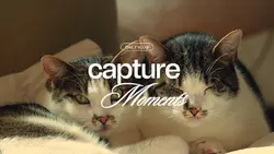 capture the moment