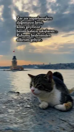 Zor toparlanmışken