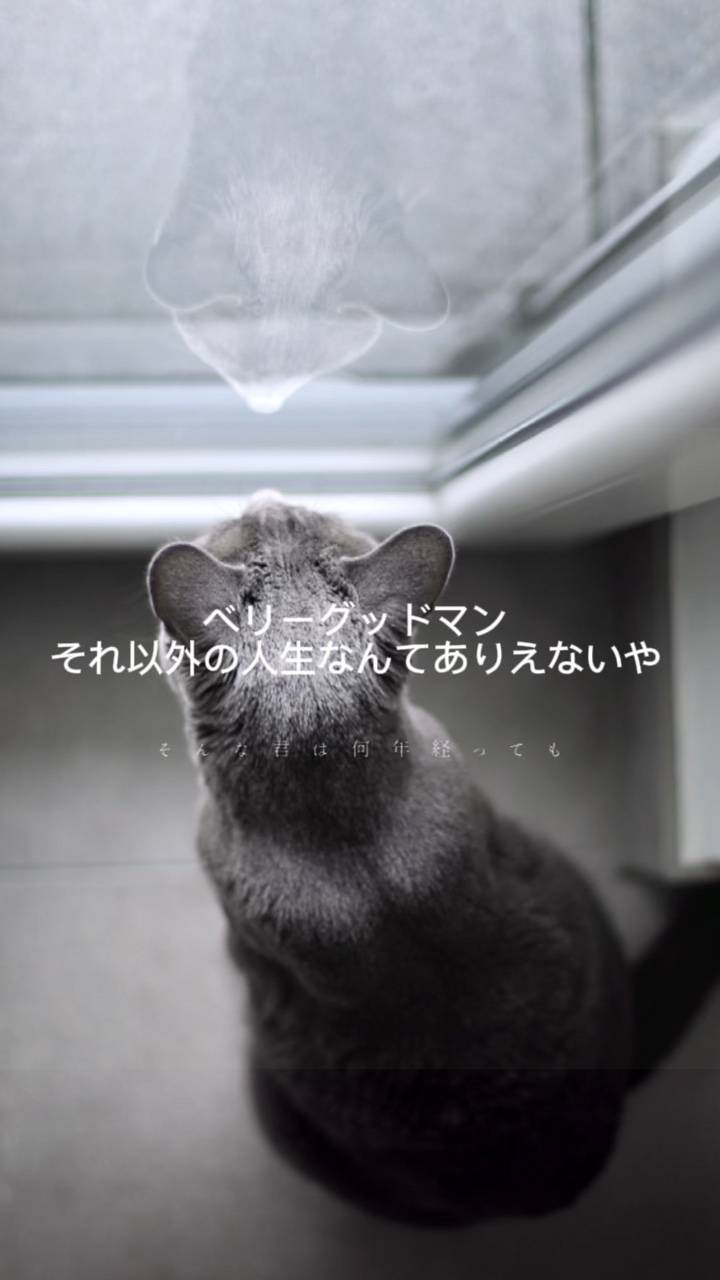 1枚で作る歌詞動画です