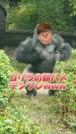 ゴリラの顔ハメテンプレwww