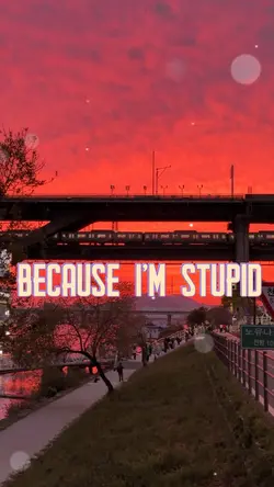 Because I’m Stupid ❤️‍🩹