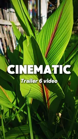 CINEMATIC TRAILER 