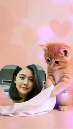 Kucing Lucu