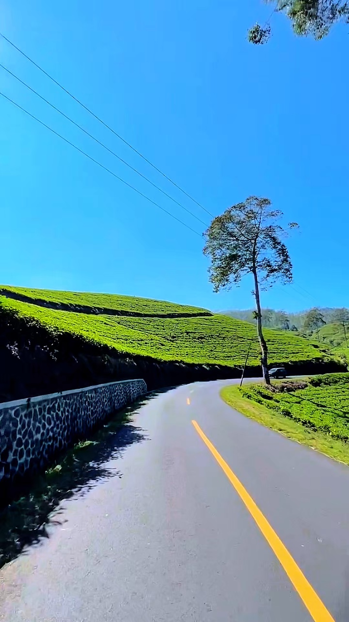 3 video aesthetic HD