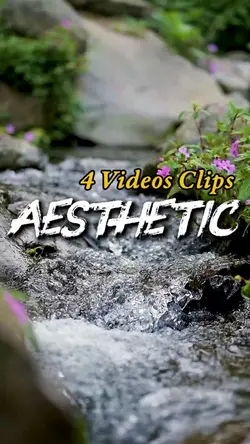 Aesthetic 4 videos 