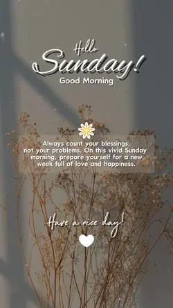 Hello Sunday 🤍