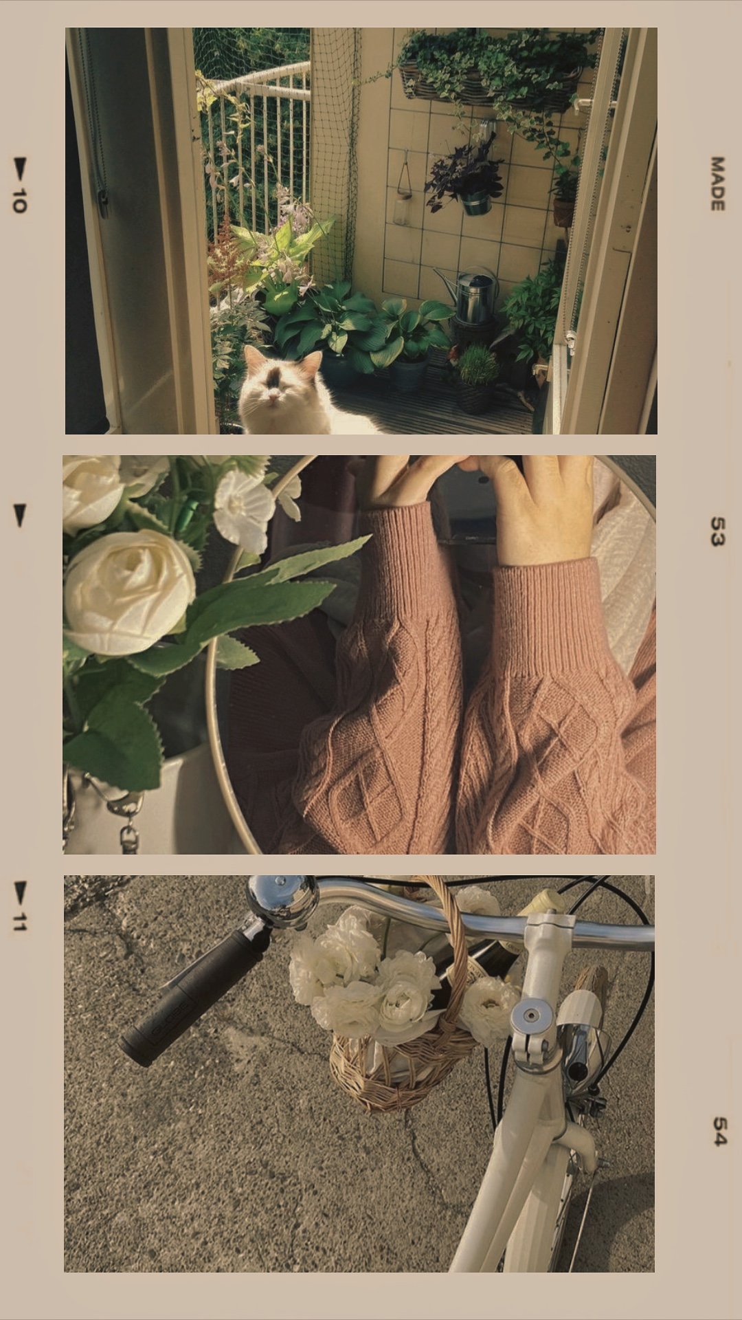 Frame 3 foto