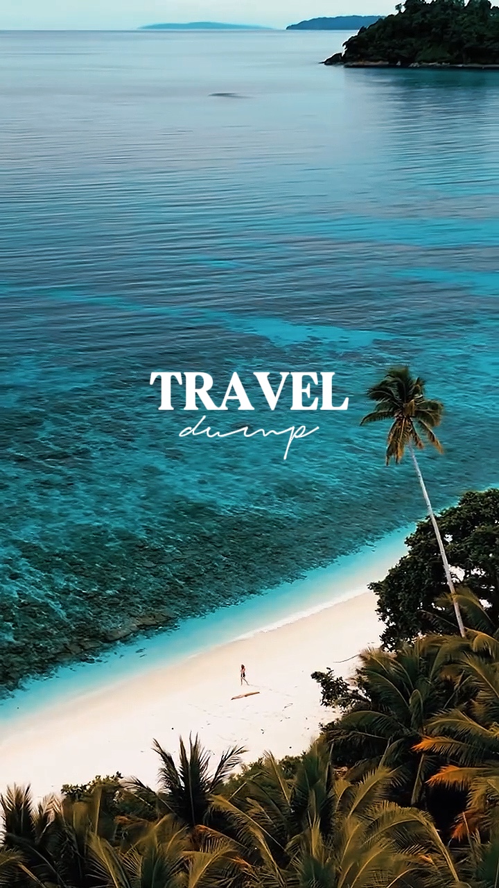 Travel dump