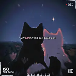 낭만젊음사랑