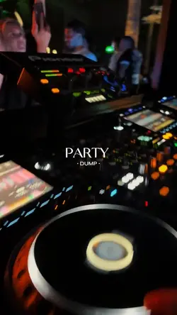 PARTY DUMP