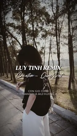 LUỴ TÌNH REMIX