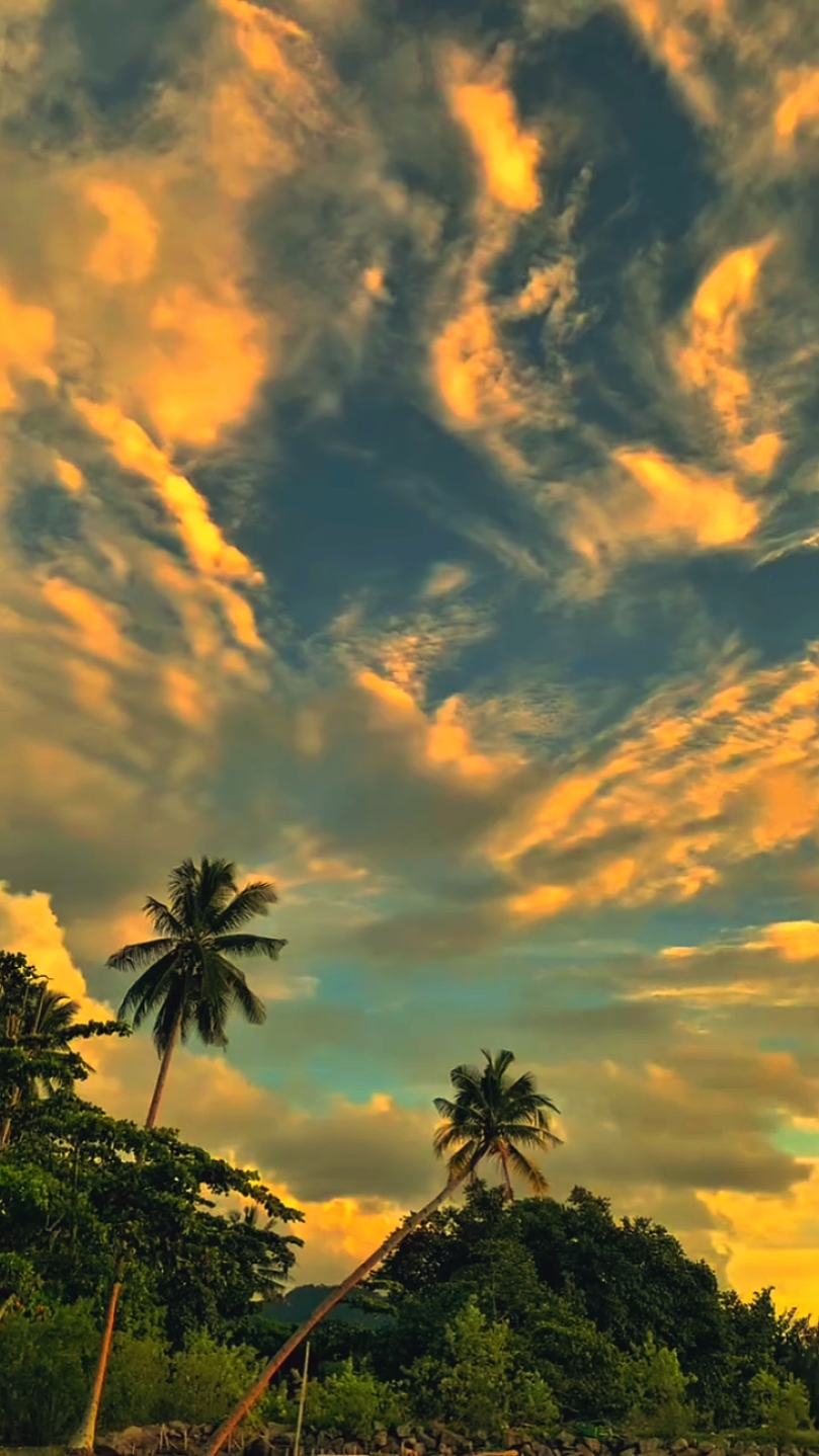 SUNSET ESTETIK 