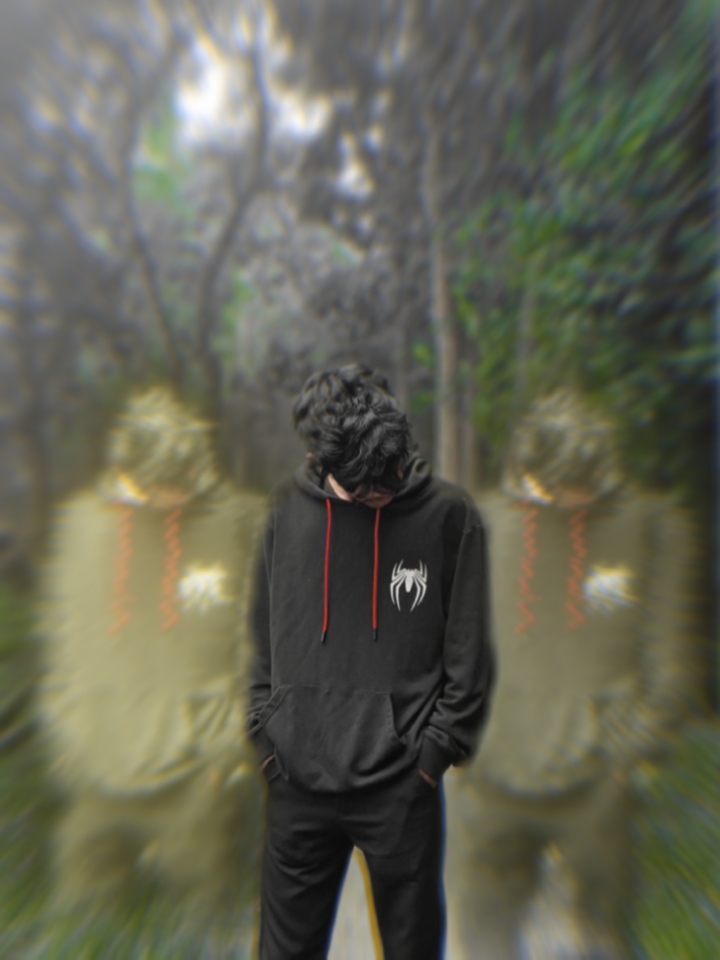 Cover Picture