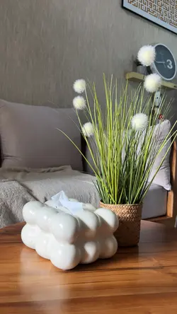 Video Cinematic Home