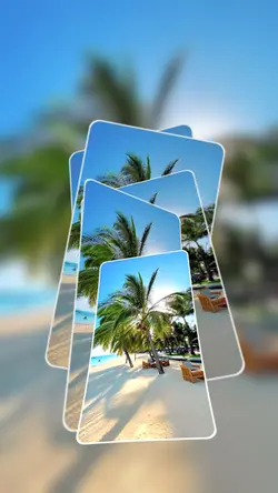 12 video or photo