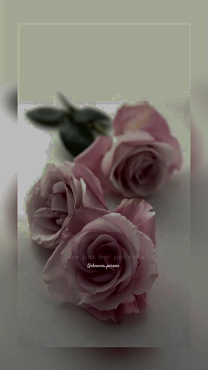 Mahiya mere mahi