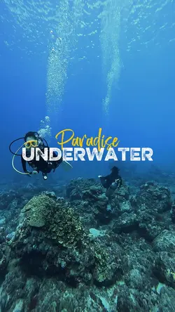 Summer Underwater 